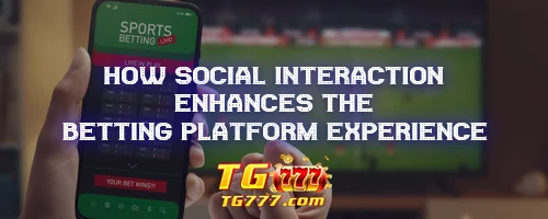 How Social Interaction Enhances the Betting Platform Experience